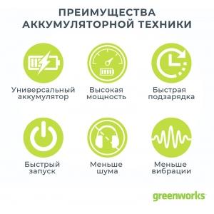 Шуруповерт ударный аккумуляторный G24ID 24 В GREENWORKS 3801307