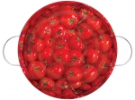 Поднос круглый садовый "помидоры", ЦЕНТРОИНСТРУМЕНТ, 1201-2