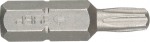 Биты "МАСТЕР" кованые, хромомолибденовая сталь, тип хвостовика C 1/4", T20 - 1 шт, Т25 - 1 шт, 25мм, 2шт, ЗУБР, 26005-20/25-25-2