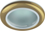 Светильник влагозащищенный WR1 GD MR16,12V220 В 50W золото (100/2000) ЭРА C0043846