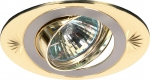 Светильник литой KL21 А SN/G "глаз" MR16 12V/220 В 50W сатин никель/золото (100/1400) ЭРА C0043706